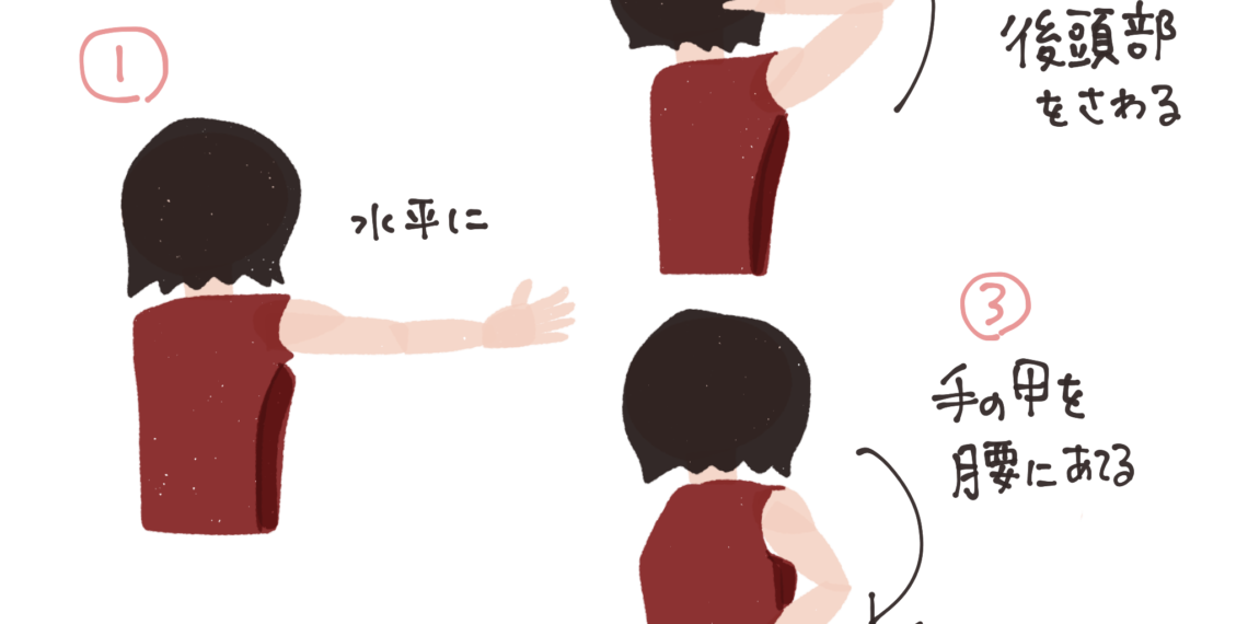 天使の羽「肩甲骨」トレーニングで背中すっきり