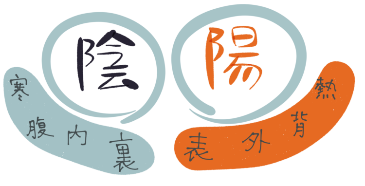 太ももとお尻のバランスを整える「陰陽トレーニング」で健康美尻へ