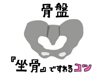 デスクワーク時の姿勢を一瞬で整える方法「坐骨座り」