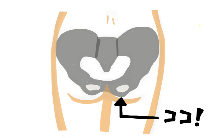 デスクワーク時の姿勢を一瞬で整える方法「坐骨座り」