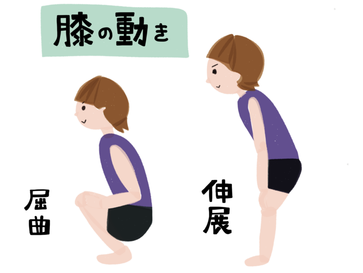 最高の健脚体操！「膝まわし」