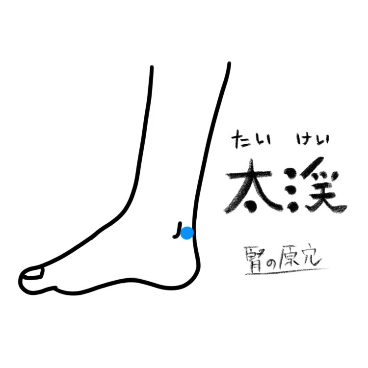 心の休養③ こころに届く経絡とツボ